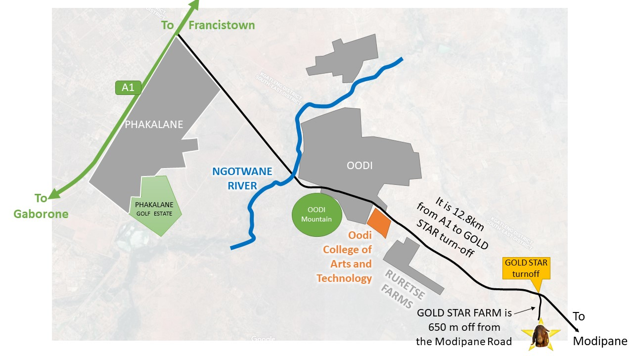 directions to Goldstar Goat Stud